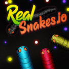 RealSnake.io