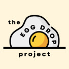 EGG DROP ONLINE