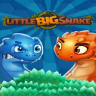 Little Big Snake
