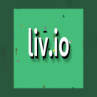 Liv.io