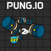 Pung.io
