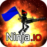 Ninjam IO