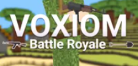 Voxiom.io